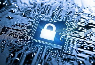 科技巨頭全面押注AI 對(duì)上海軟件開(kāi)發(fā)的深刻啟示
